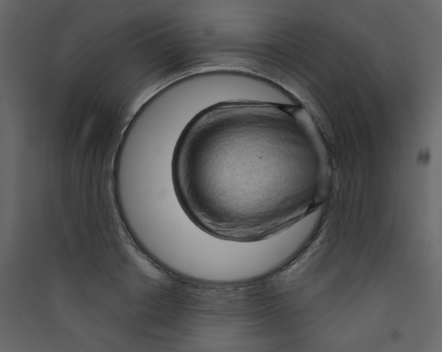 X0000089440842200707131904