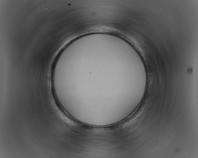 X0000089440843200707131904