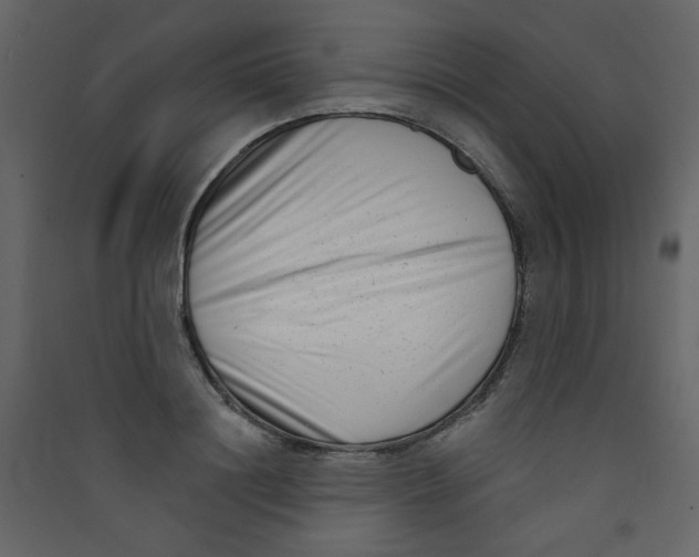 X0000089440844200707131904