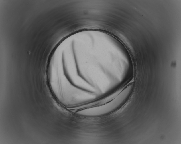 X0000089440845200707131904