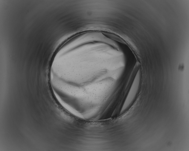 X0000089440846200707131904