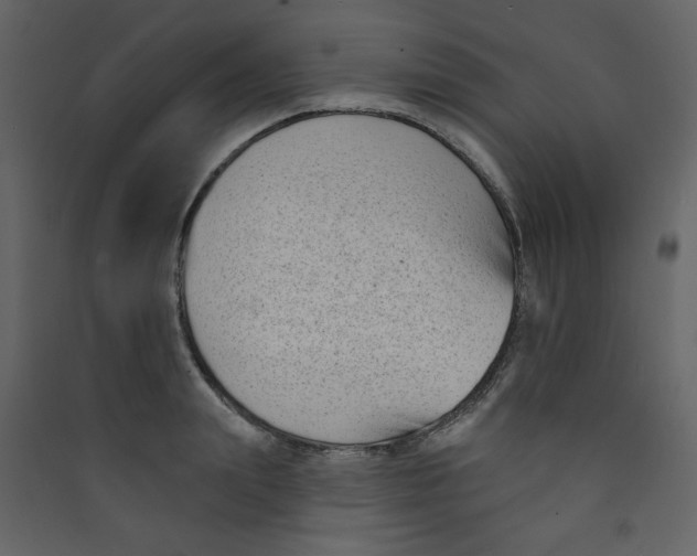 X0000089440847200707131904