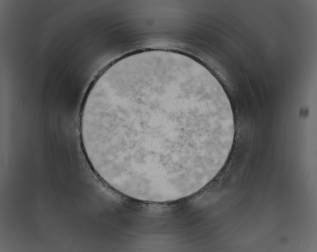 X0000089440848200707131904