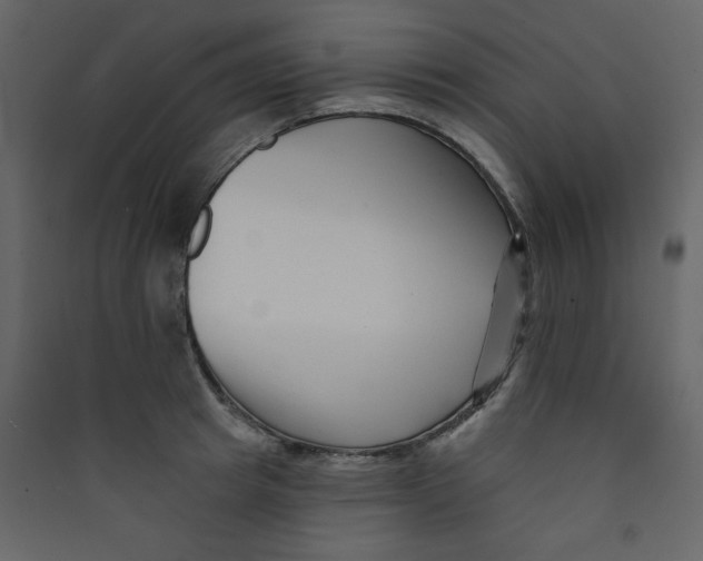 X0000089440849200707131904