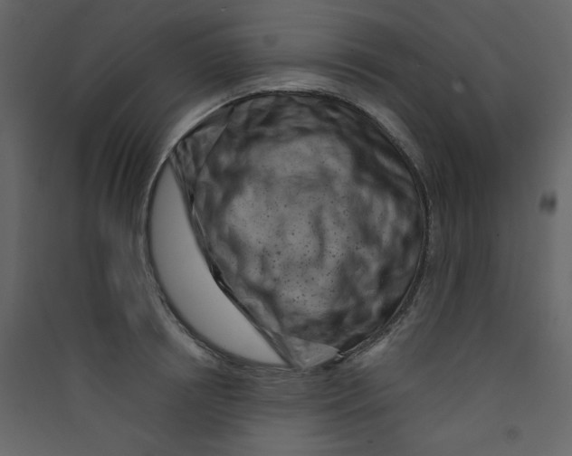 X0000089440850200707131904