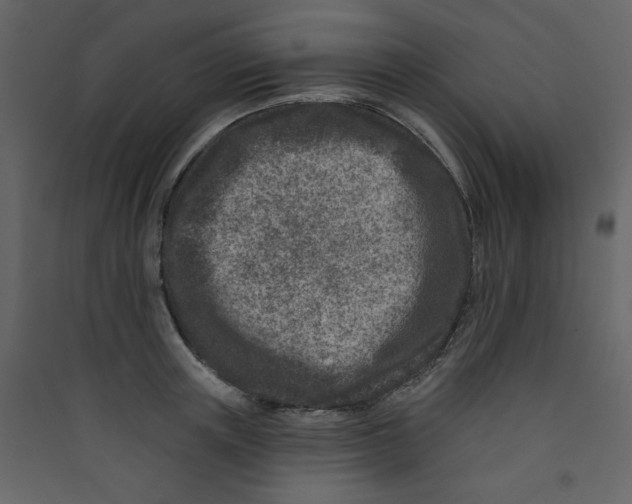 X0000089440851200707131904