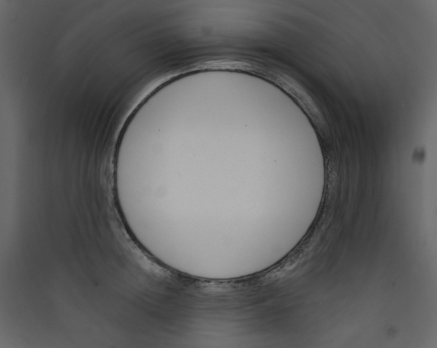 X0000089440852200707131904