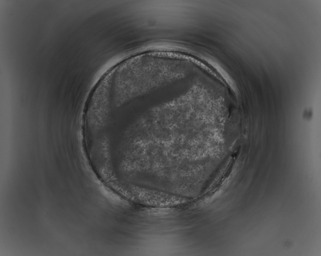 X0000089440853200707131904