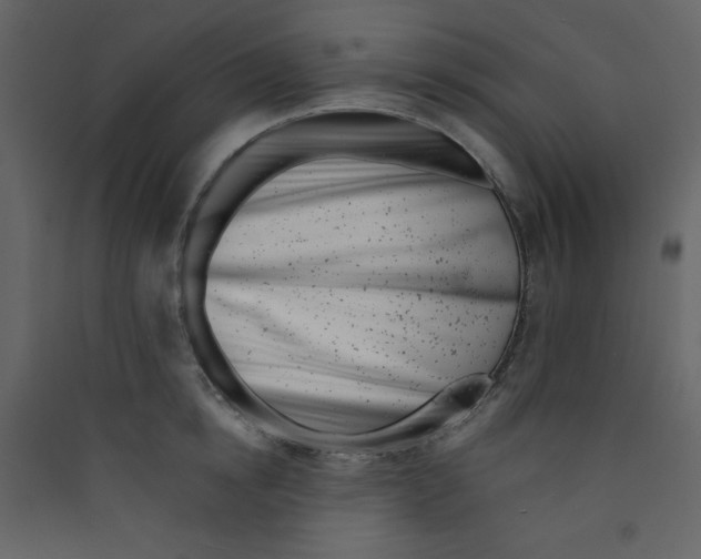 X0000089440854200707131904