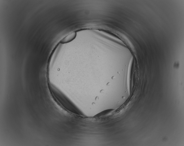 X0000089440855200707131904