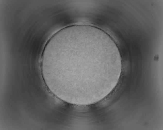 X0000089440856200707131904