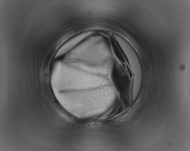 X0000089440858200707131904