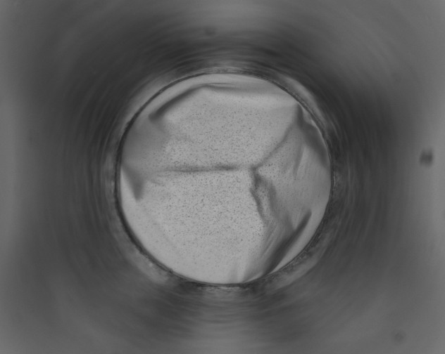 X0000089440859200707131904