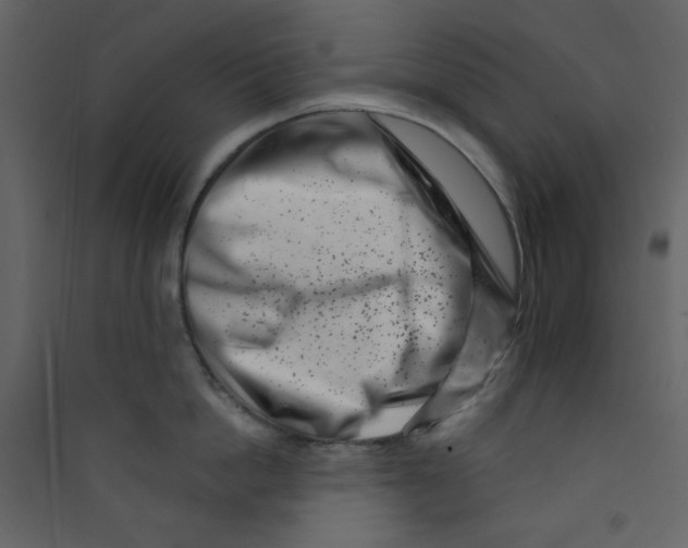 X0000089440862200707131904