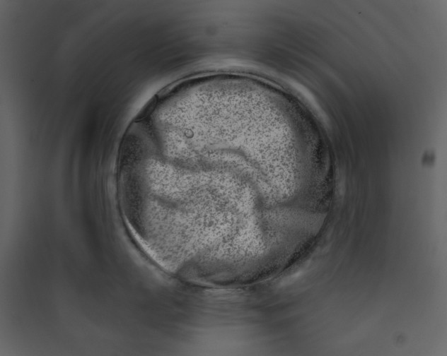X0000089440863200707131904