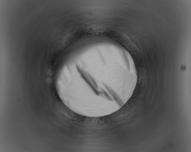 X0000089440866200707131903