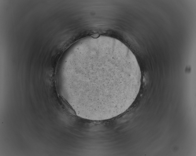 X0000089440867200707131903