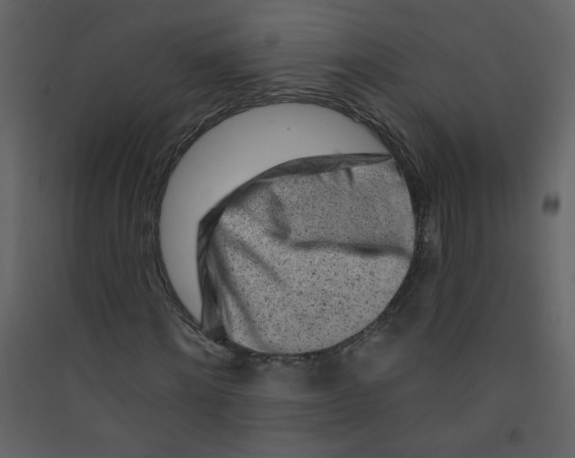 X0000089440868200707131903