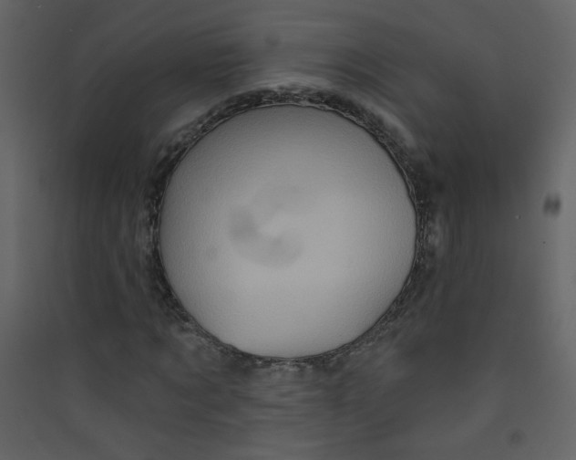X0000089440869200707131903