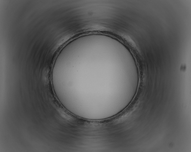 X0000089440873200707131903