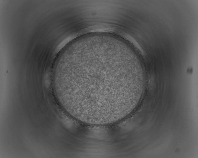 X0000089440874200707131903