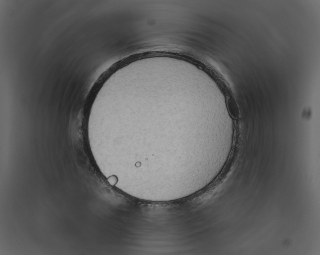 X0000089440875200707131903