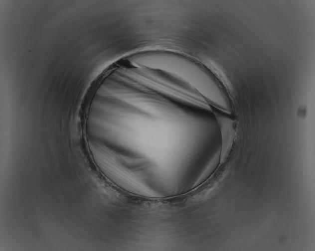 X0000089440876200707131903