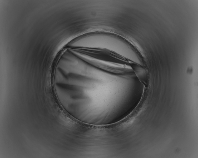 X0000089440877200707131903