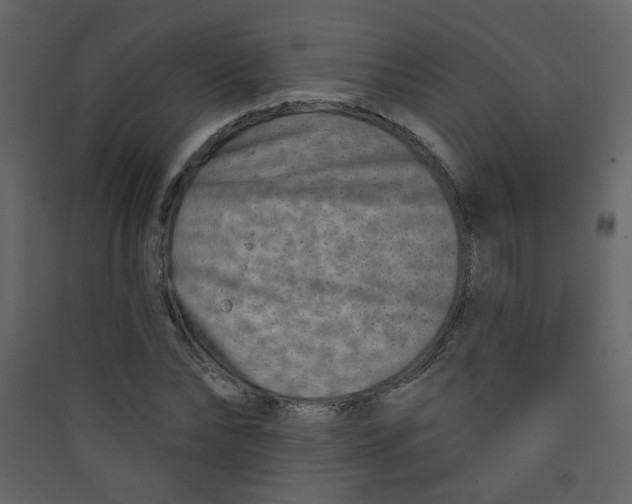 X0000089440878200707131903