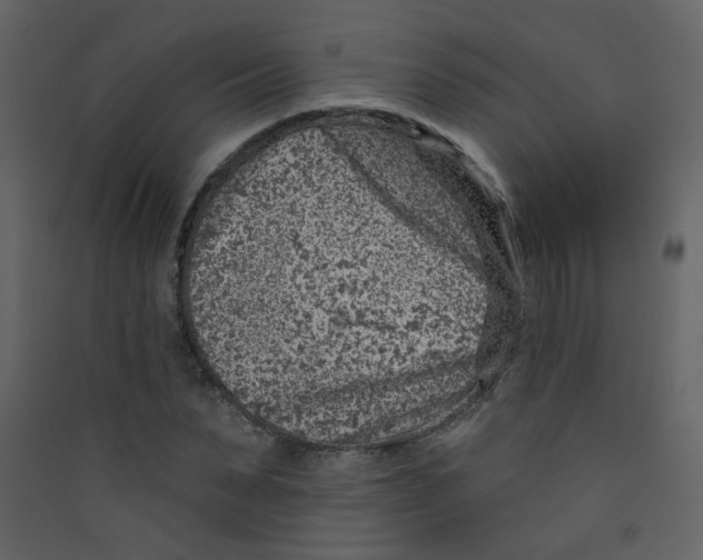 X0000089440879200707131903