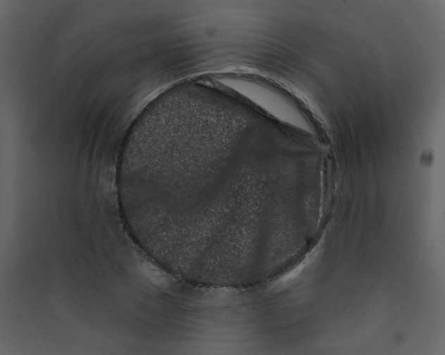 X0000089440881200707131903