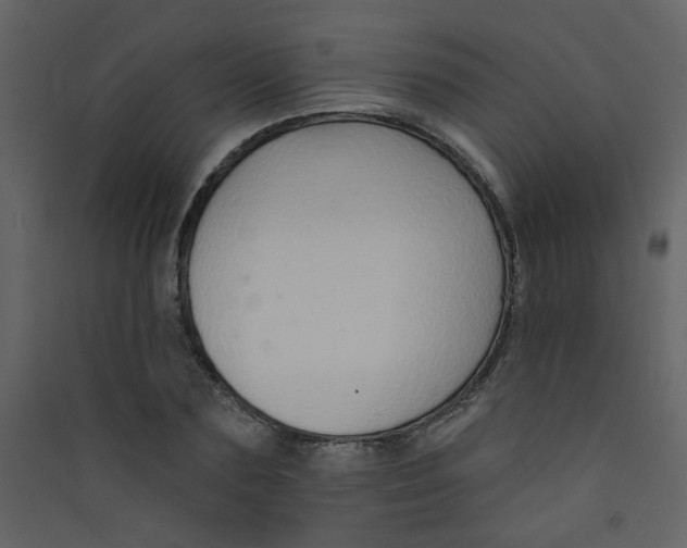 X0000089440883200707131903