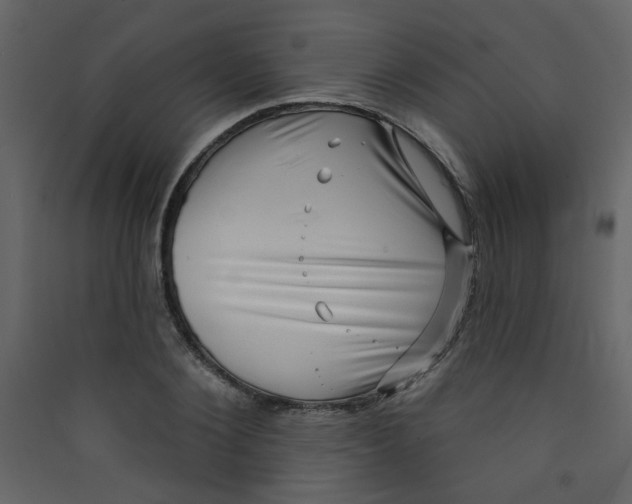X0000089440884200707131903