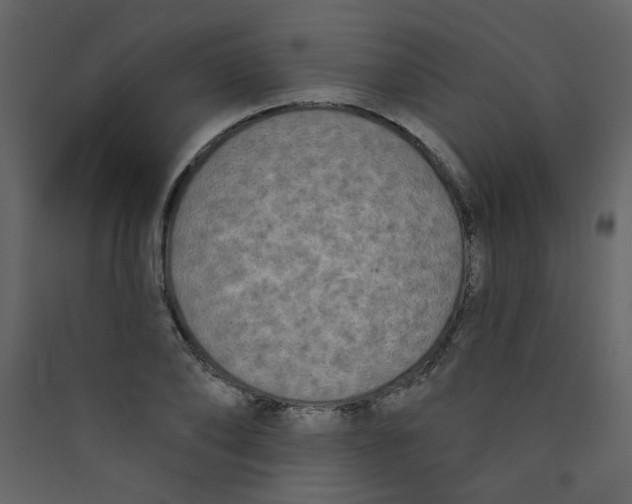 X0000089440886200707131903