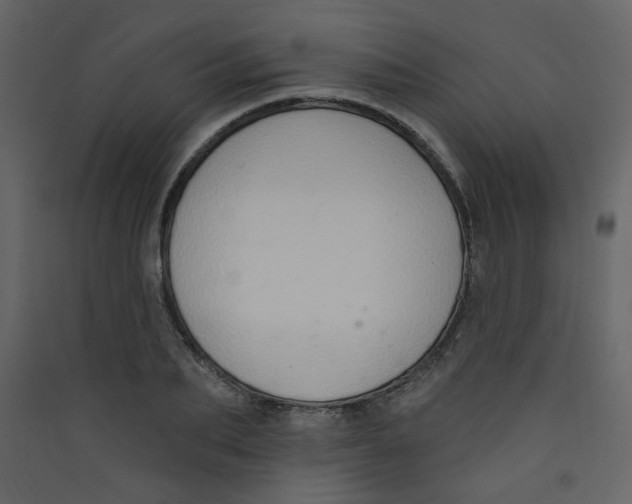 X0000089440887200707131903