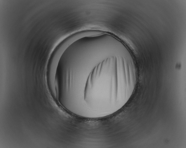 X0000089440888200707131903