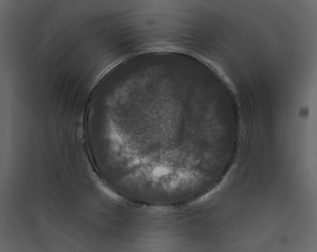 X0000089440889200707131903