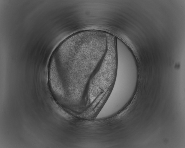 X0000089440892200707131903