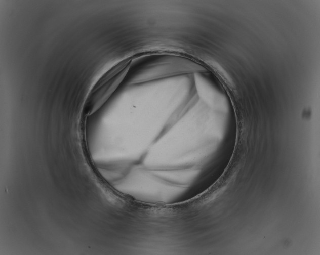 X0000089440893200707131903