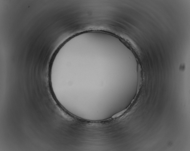X0000089440894200707131903