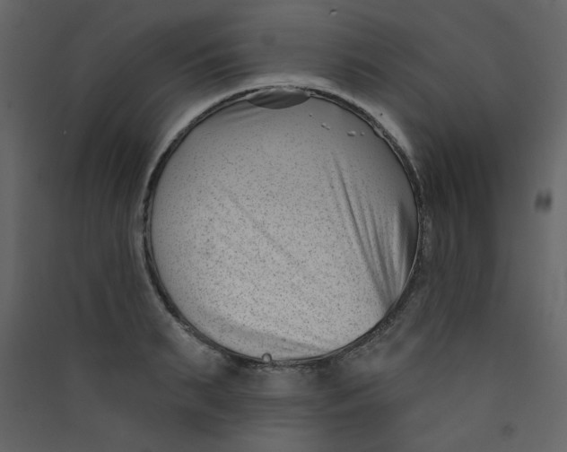 X0000089440895200707131903