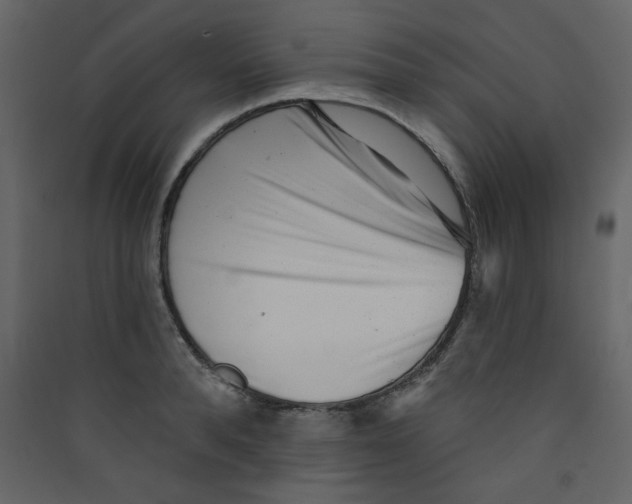 X0000089440896200707131903