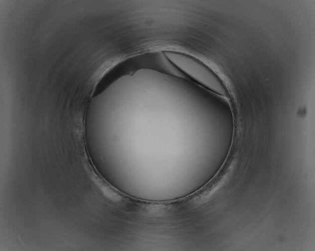 X0000089440897200707131903