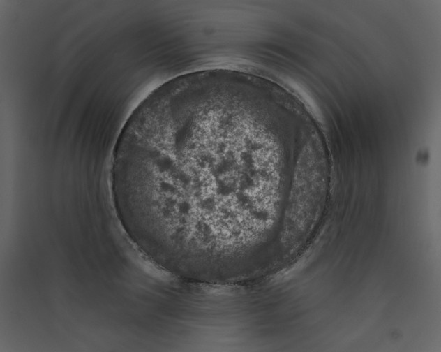 X0000089440899200707131903