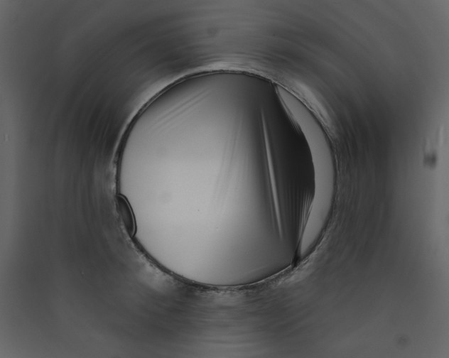 X0000089440900200707131903