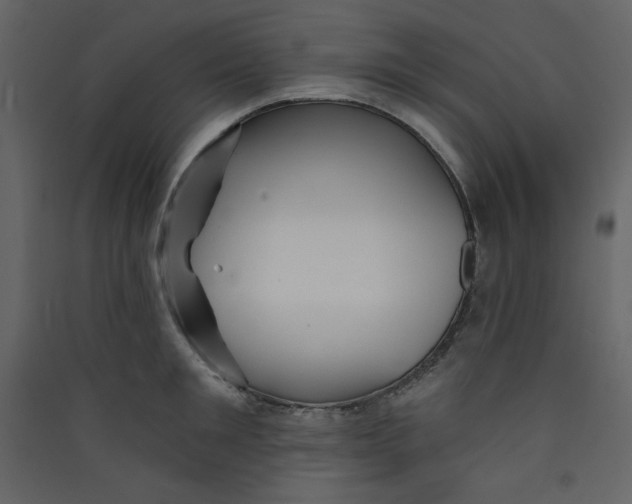 X0000089440901200707131903