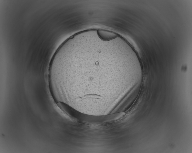 X0000089440903200707131903