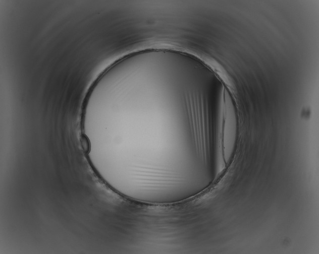 X0000089440904200707131903