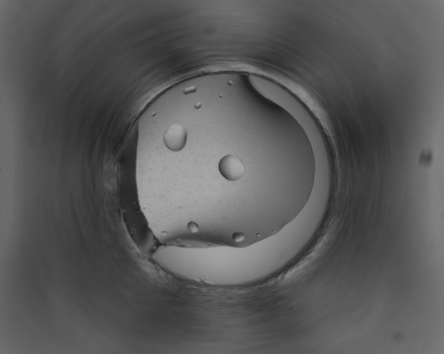 X0000089440905200707131903