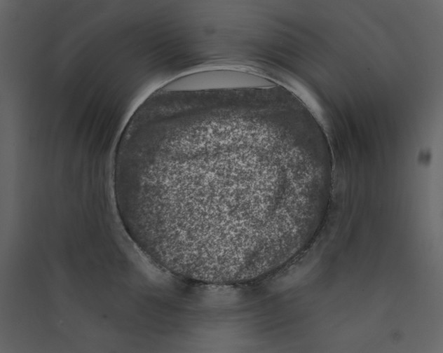 X0000089440907200707131903